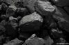 low price steam coal,b...