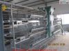 Automatic poultry equipment