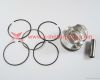 Piston Kit fit for Shi...