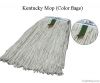 Kentucky Mop