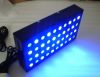 120W Dimmable Cree Lighting Reef Aquarium For Fish Tank