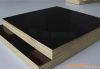 Black Film Faced Plywood 18MM