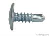 Zinc Galvanized Hex Self-Drilling Screw Drill Screw Sheet Metal Screw