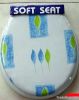 Toilet Seat - Printed Soft Toilet Seat with Cover