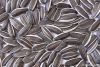 sunflower seeds