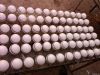 Cricket Balls Leather Handmade