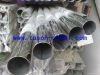 Seamless Stainless Steel Pipe/Tube