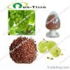 Grape seed extract