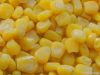 IQF sweet corn kernels
