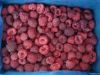 Frozen IQF Raspberry, ...