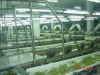 processing line for ve...
