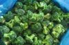 broccoli processing ma...