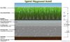 artificial turf /grass