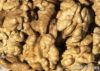 Walnut Kernels | Dried...