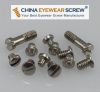 Optical Eyewire and Hi...