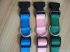 Eco-friendly nylon pet collar