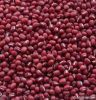 Small red beans (2010 ...