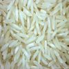 BASMATI RICE EXPORTER|...