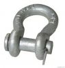 Bow Shackles With Allo...