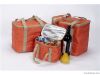 picnic cooler bag