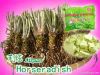 Horseradish Extracts