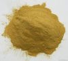 Weeping Forsythia Extract