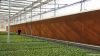 greenhouse equipment G...