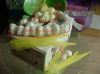 2010-07-20-Garlic