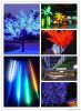 LED Tree Light & L...