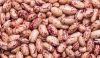 White kidney beans 