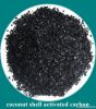 Coconut Shell Activate...