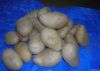 Fresh Potatoes