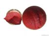 CANNED TOMATO PASTE 28-30%
