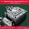 Interior Trim Parts mould