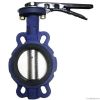 cast iron wafer type b...