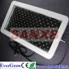 LED Grow Light 300W 