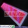 LED Grow Light 400W 