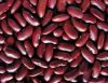 Dark Red Kidney Beans