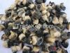 Snail meat, snail shell, snail slime, tilapia, catfish shrimp