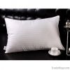 100% Cotton Pillow with Polyester filled