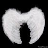 Feather Wings Angel Fa...