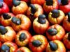 Mtwara cashew nuts