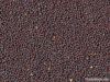 Mustard seeds