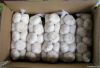 Supply china exports n...