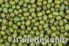 Quality green grams( M...