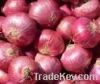 Red Onion