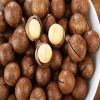 Quality Macadamia Nuts