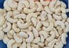 High Quality Raw Cashe...