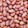 High Protein Red Skin Peanuts