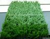 Artificial grass playground grass/turf/lawn